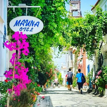 Hotel Mauna *